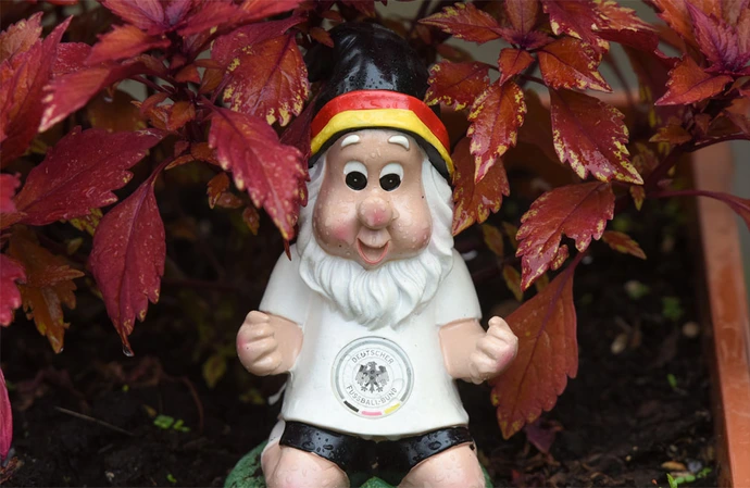 Gnomes have invaded a couple's garden in mysterious circumstances