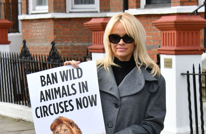 Vegetarian in defence of animals
