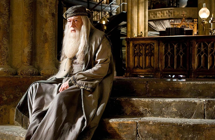 Harry Potter et l'Ordre du Phoenix (2007)