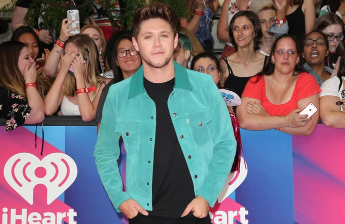 Niall Horan fans have been sent into a frenzy after learning the release date of his new solo album.