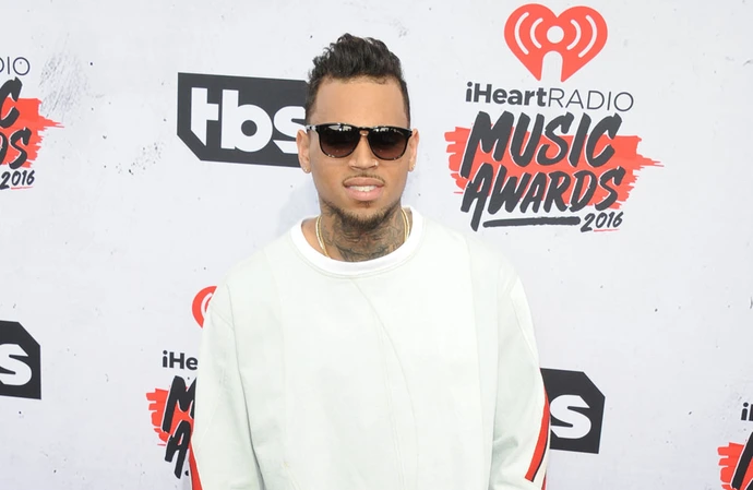 Chris Brown has filed a defamation lawsuit against the producers of the 'Chris Brown: A History of Violence' docuseries