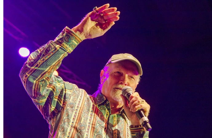 Mike Love has paid tribute to Brian Wilson