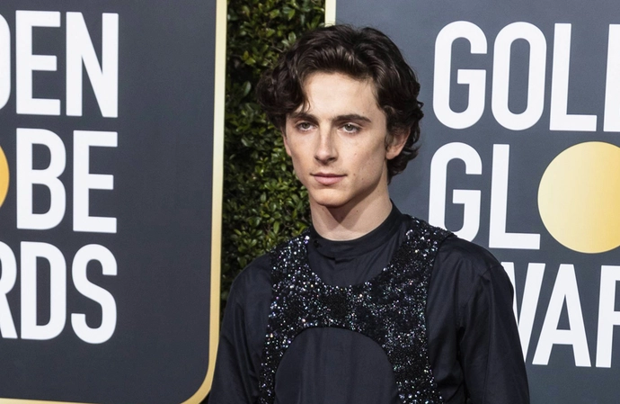 Timothée Chalamet was inspired by a superhero movie to start his acting career