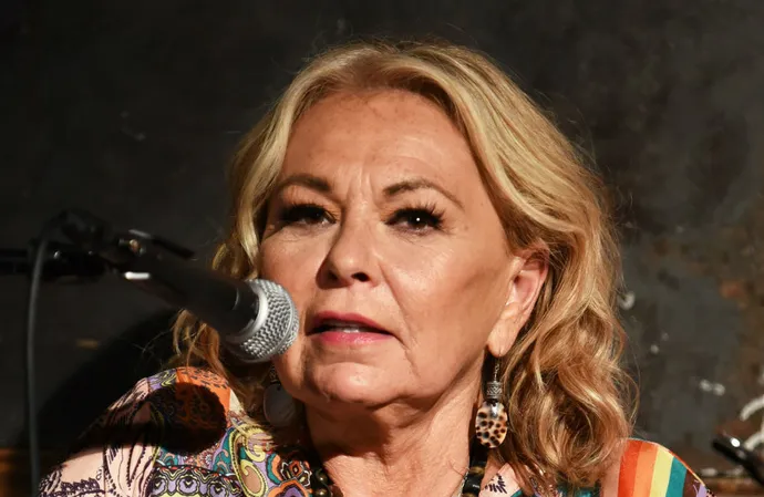 Roseanne Barr has slammed the 'witch-hunt' she faced