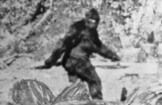Yeti