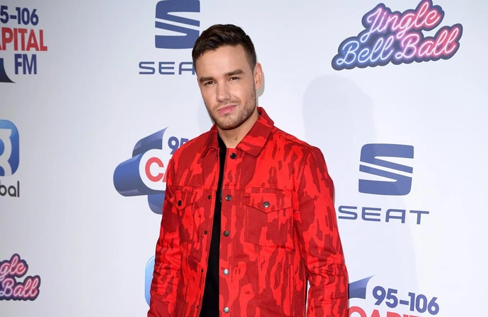 Liam Payne didn't feel like he could 'teach' his son anything before his rehab stint