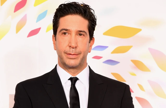 David Schwimmer has recalled his early run in with Sir Rod Stewart