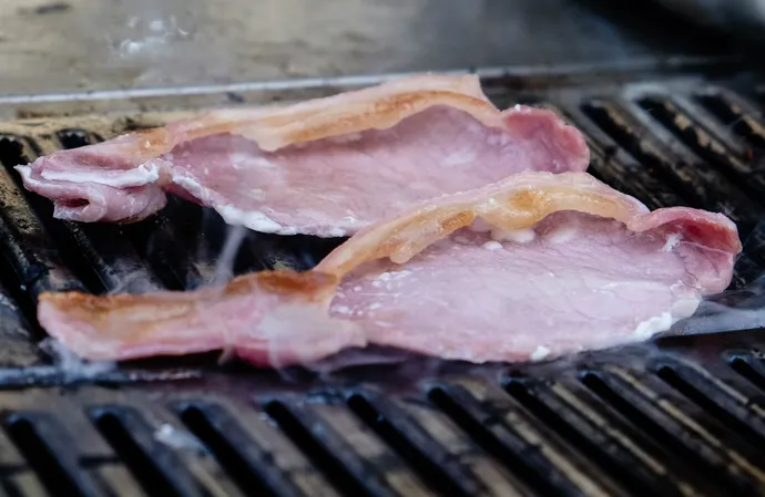 Bacon causes the brain to shrink