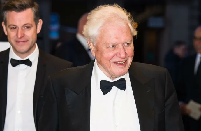 Sir David Attenborough is still 'curious' and 'passionate'