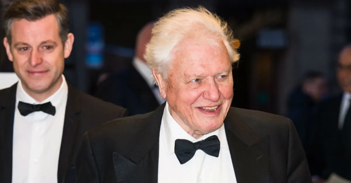 sir-david-attenborough-still-has-curiosity-and-passion-for-natural