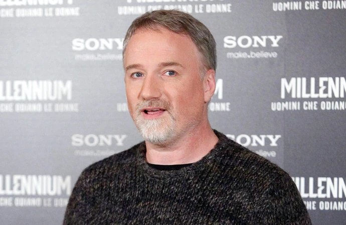 David Fincher has given his verdict on the state of cinema