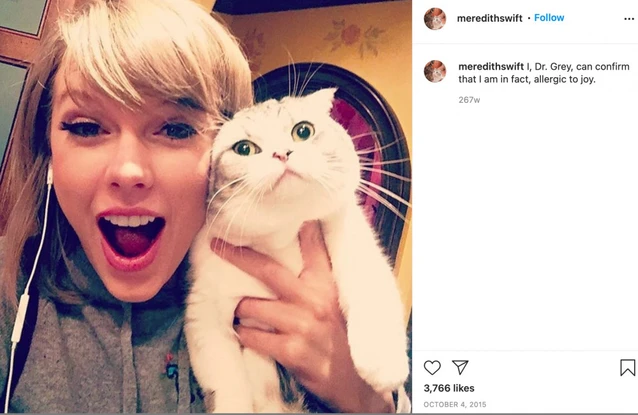 Taylor Swift's cats suffer from a serious condition (c) Instagram