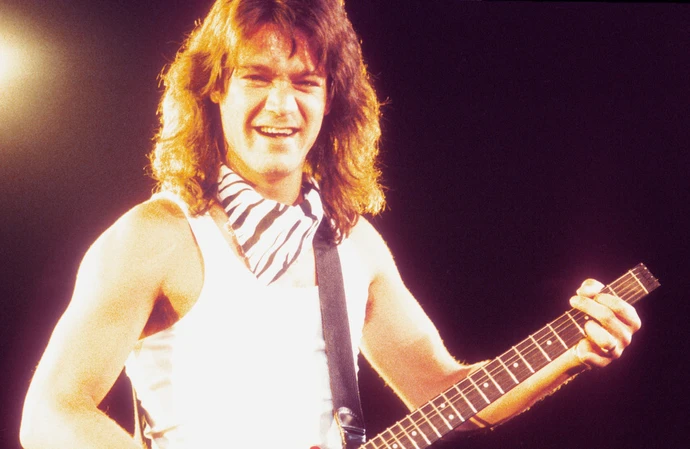 Eddie Van Halen tribute plans couldn't 'get off the ground'