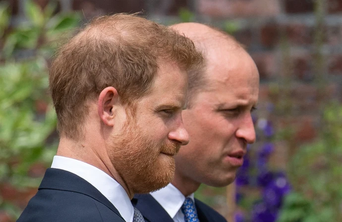 Prince Harry claimed Prince William 'screamed and shouted'