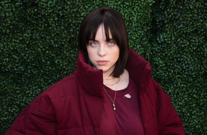 Billie Eilish pauses concert to check on fainting fans