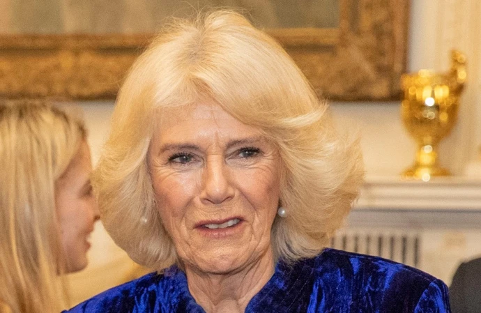 Queen Consort Camilla isn't 'stuffy'