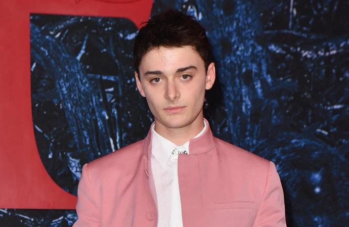 Noah Schnapp stars on the Netflix show