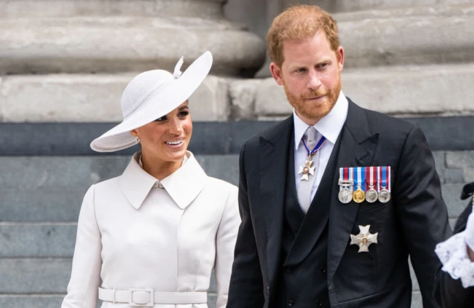The Duke and Duchess of Sussex have been accused by Queen Elizabeth’s former press spokesman of spreading ‘mixed messages‘ with a story more full of holes ‘than a colander’