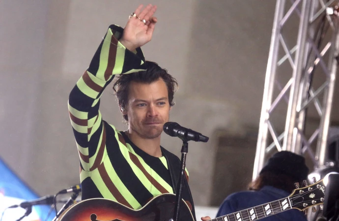 Harry Styles helps a fan declare their sexuality at his Wembley Stadium gig