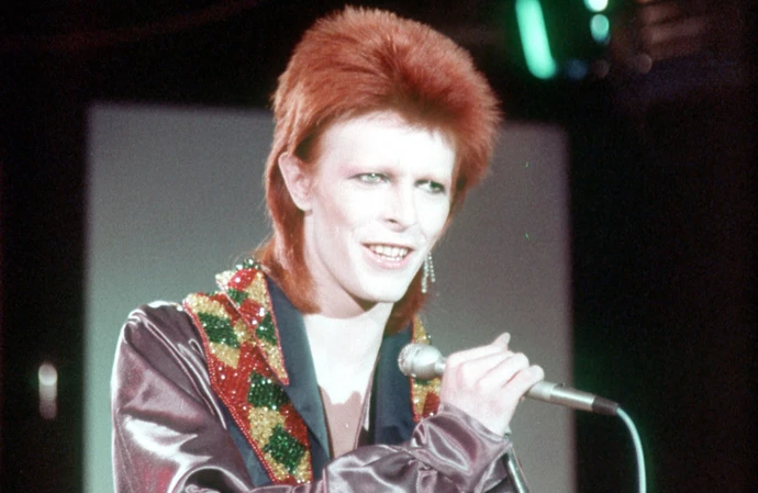 Museum bosses have asked for help locating David Bowie's missing dress