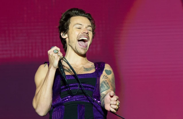 Harry Styles stunned fans when he emerged as a surprise guest during Steve Nicks’ emotional headline set at London’s BST Hyde Park