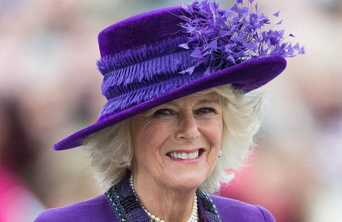 Camilla, the Queen Consort, has COVID