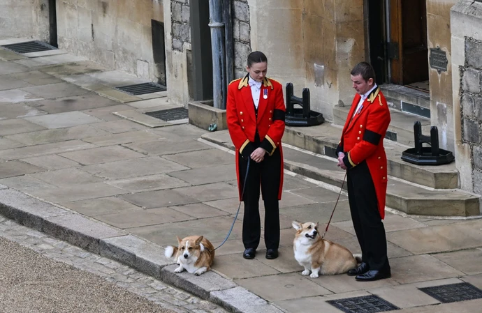 Os cães Muick e Sandy no funeral da rainha Elizabeth II