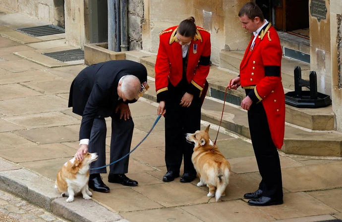 Les deux derniers corgis de la reine Elizabeth
