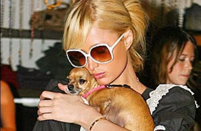 凱西希爾頓說女兒帕麗斯將成為了不起的媽媽