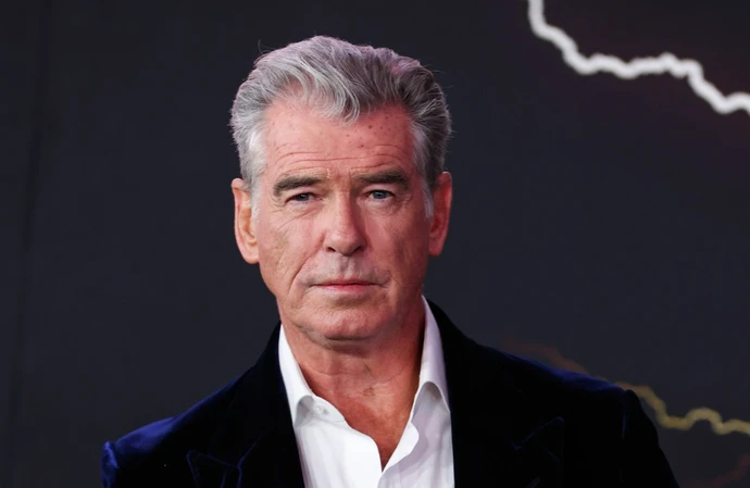 Pierce Brosnan has denied two charges stemming from a day out in Yellowstone