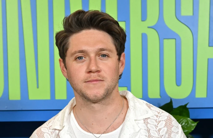 Niall Horan on being asked for selfies in public toilets