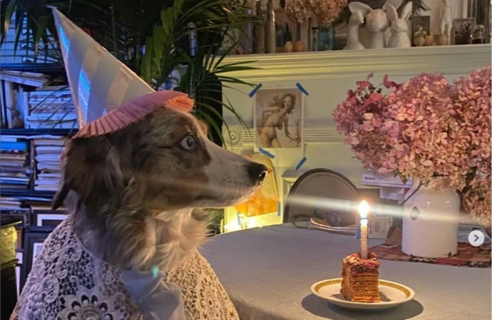 Helena Christensen celebrated her dog Kuma's birthday with a cake made from lasagne