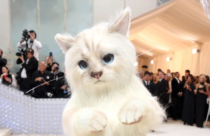 Jared Leto dresses up as Karl Lagerfeld's cat Choupette at 2023 Met Gala