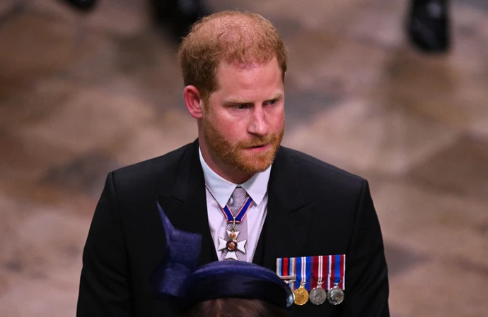 Prince Harry may face a US visa court fight after his drug revelations in his memoir ‘Spare’