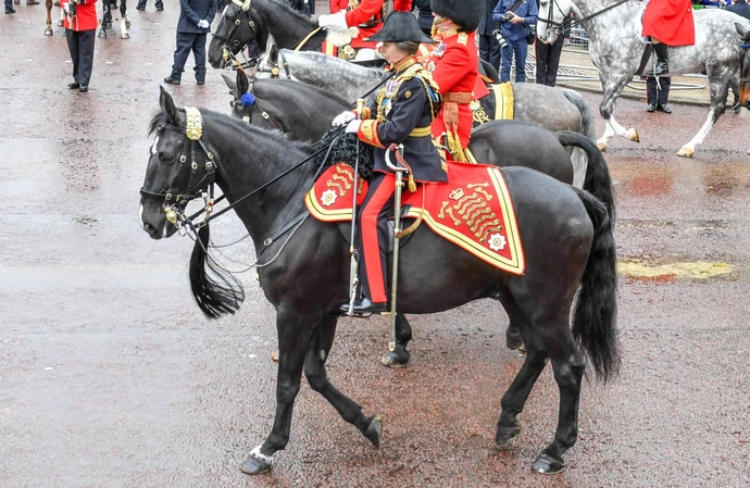 Princess Anne in King Charles' coronation procession