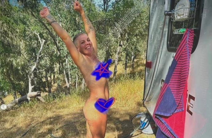 Pink shares saucy snap of herself in the shower
