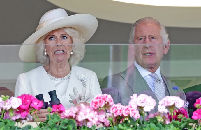 Queen Camilla says King Charles is fine