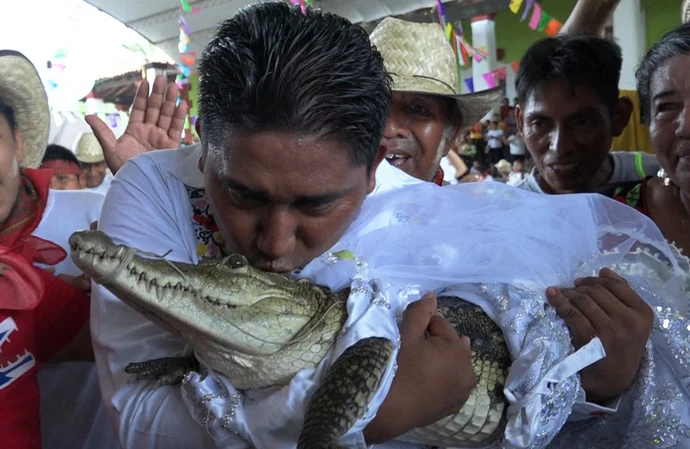 Mexican mayor marries a reptile!
