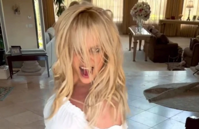 Britney Spears is said to be planning to record a new album amid her divorce from Sam Asghari