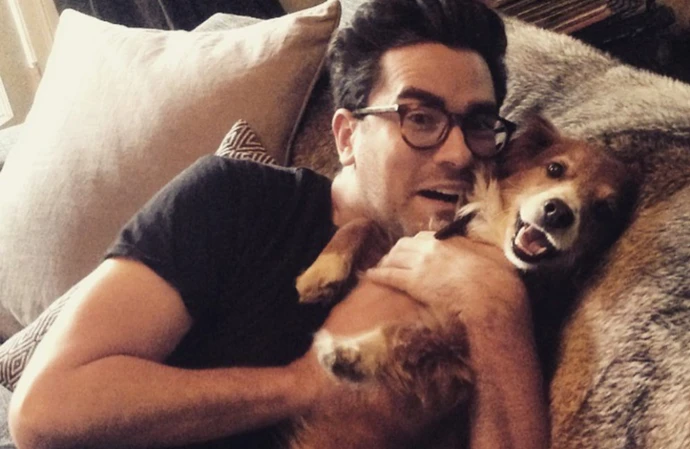 Dan Levy