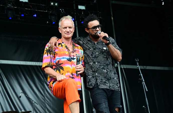 Sting's love of brown sauce has been revealed by his friend Shaggy