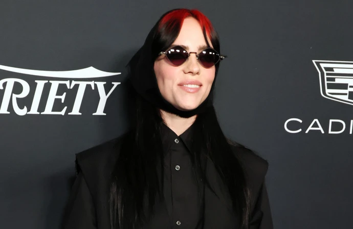 Billie Eilish has set up cameras in her music studio she says will show her fun side