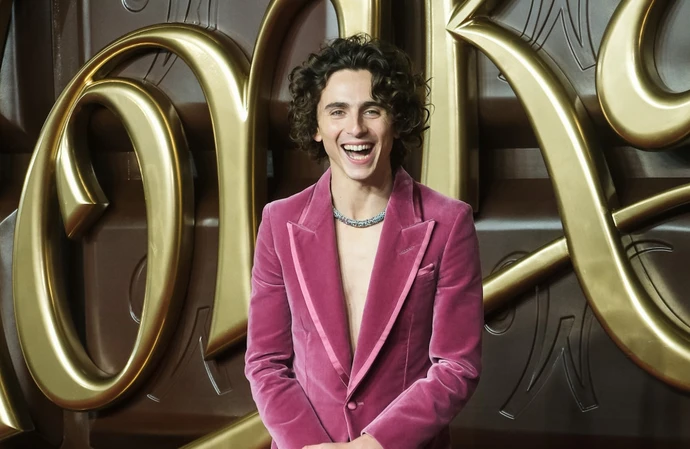 Timothee Chalamet at the premiere of Wonka