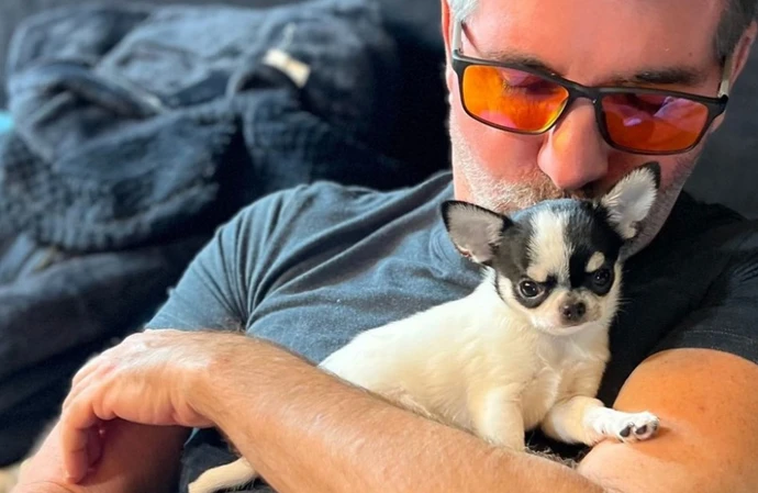 Simon Cowell has another new puppy