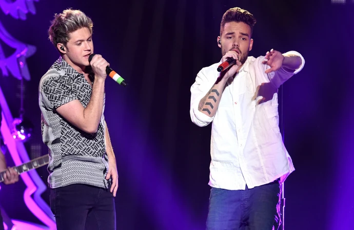 Niall Horan and Liam Payne shot to fame together as part of One Direciton