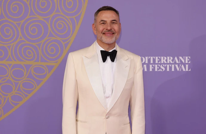 David Walliams wants a role in HBO's Harry Potter TV series