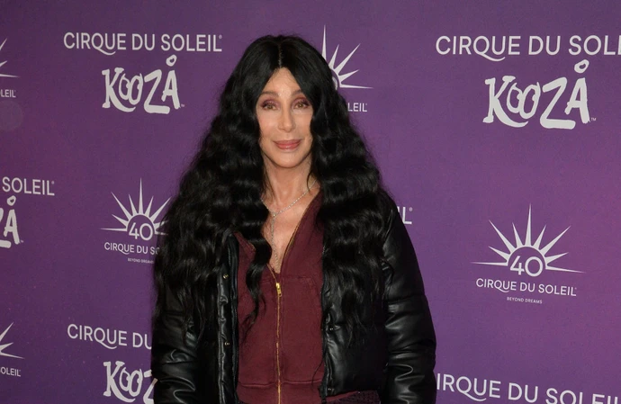 Cher plans to bow out of making albums after one last record.