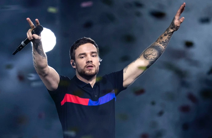 Liam Payne's Netflix show is going ahead