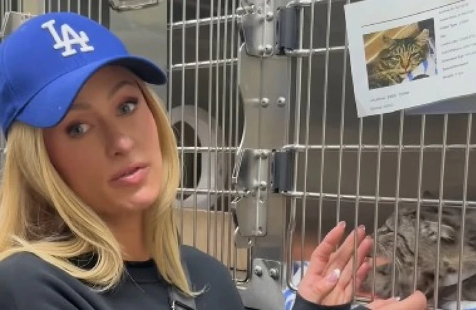 Paris Hilton is trying to reunite a cat with their owner following the LA wildfires