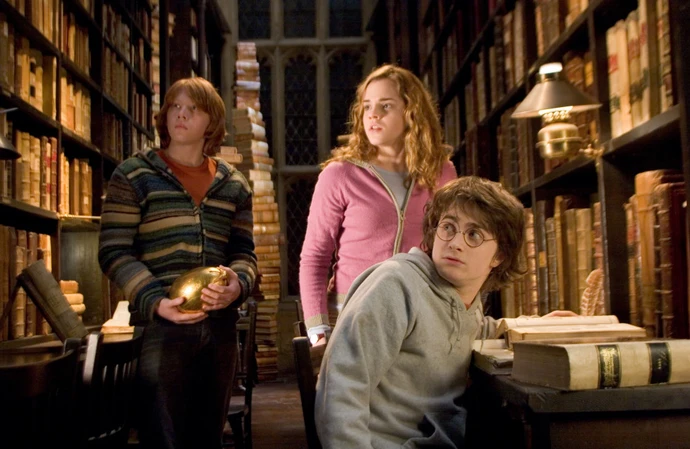 The ‘talent’ of the new ‘Harry Potter’ TV series cast has been hailed by show bosses as ‘wonderful to behold’